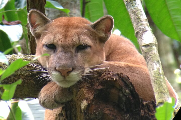Corcovado Sirena Station Overnight  - Photo 1 of 6